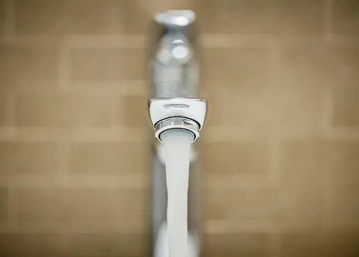 Fior Schiller דירה